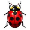 © 2007 Nuno Pinheiro & David Vignoni & David Miller & Johann Ollivier Lapeyre & Kenneth Wimer & Riccardo Iaconelli (KDE Oxygen Icon collection). Icono de bug